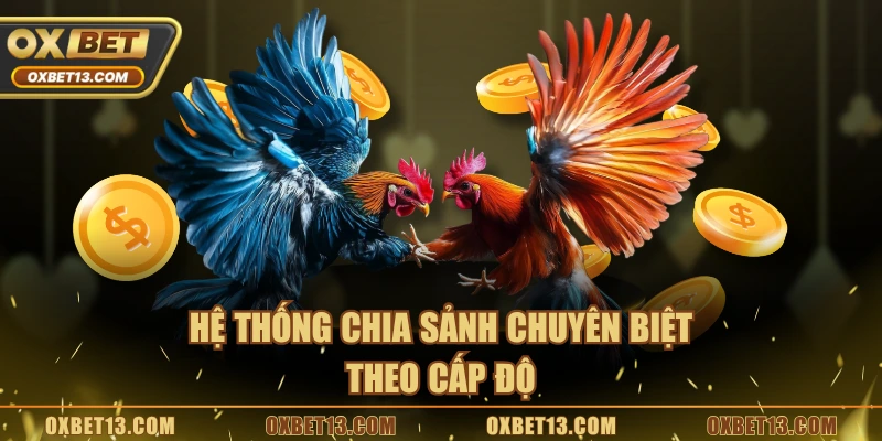 Hệ thống chia sảnh chuyên biệt theo cấp độ