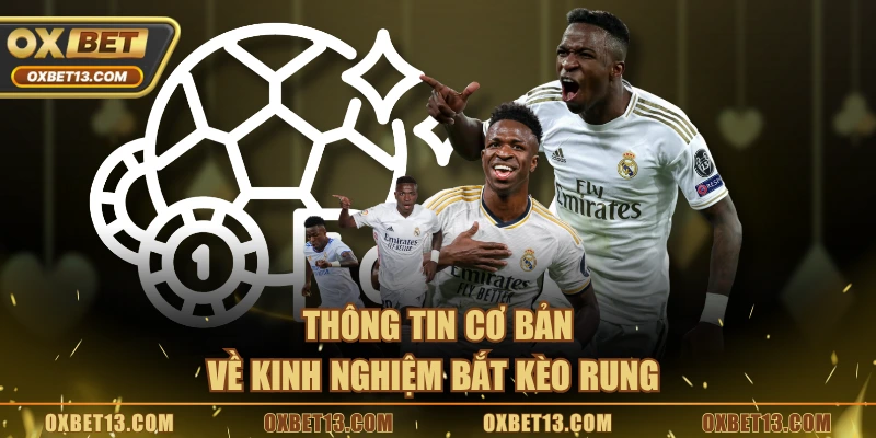Thông tin cơ bản về kinh nghiệm bắt kèo rung 