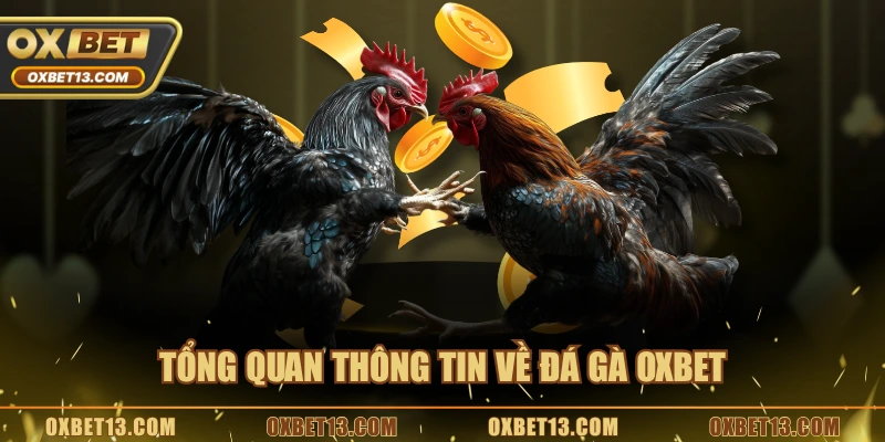 Tổng quan thông tin về đá gà OXBET